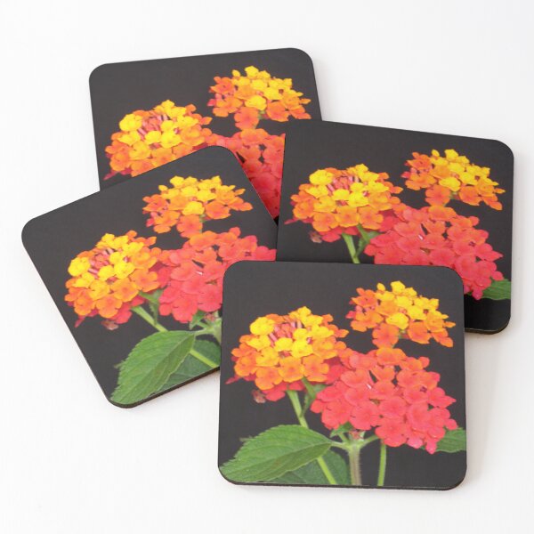 Item preview, Lantana in Red, Orange, and Yellow designed and sold by JoyousArt4u.