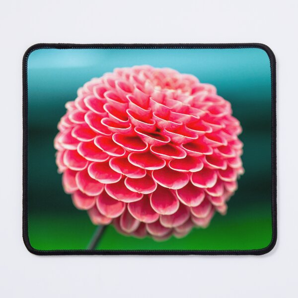 Item preview, Dahlia flowers designed and sold by assaf.