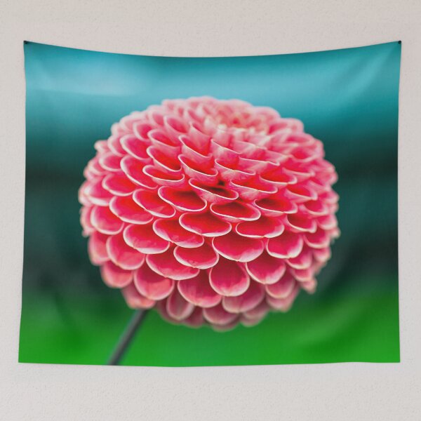Item preview, Dahlia flowers designed and sold by assaf.
