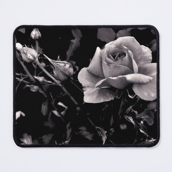 Item preview, White and Black Rose Photography, Nature designed and sold by Gulnaz Turdalieva.