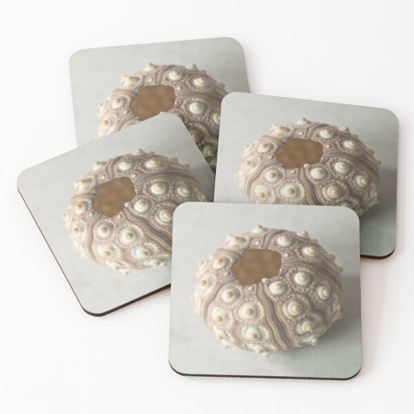 Item preview, Sea urchin shell designed and sold by assaf.