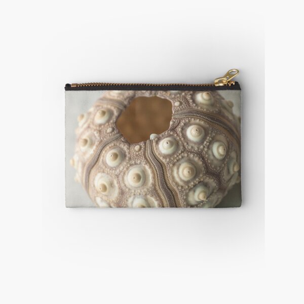 Item preview, Sea urchin shell designed and sold by assaf.