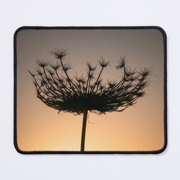 Item preview, Bishops Weed designed and sold by assaf.