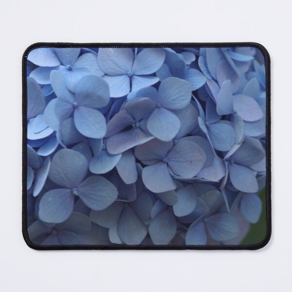 Item preview, Blue Nikko Blue Hydrangea designed and sold by MelKowasic.