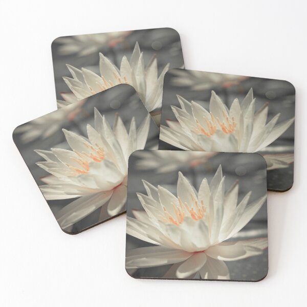 Item preview, Water Lily designed and sold by assaf.