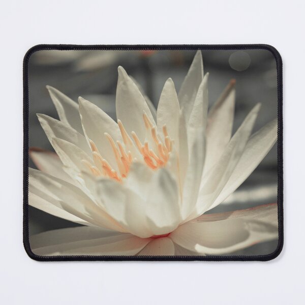 Item preview, Water Lily designed and sold by assaf.