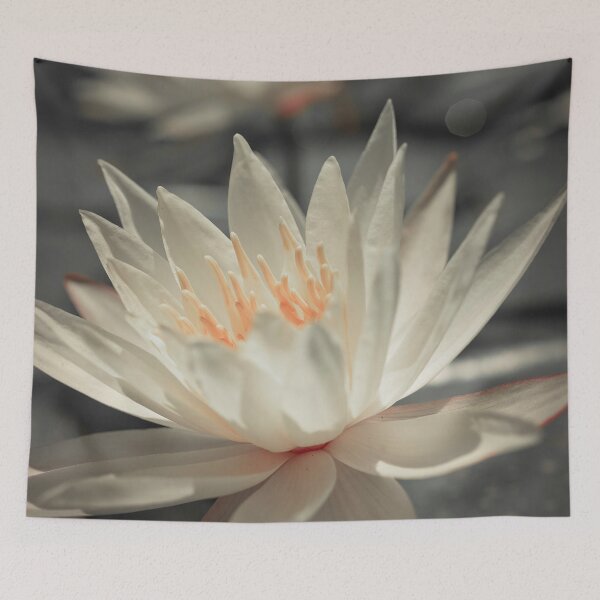 Item preview, Water Lily designed and sold by assaf.