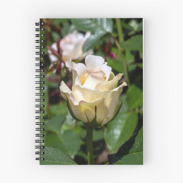 Item preview, a white rose designed and sold by yunee.