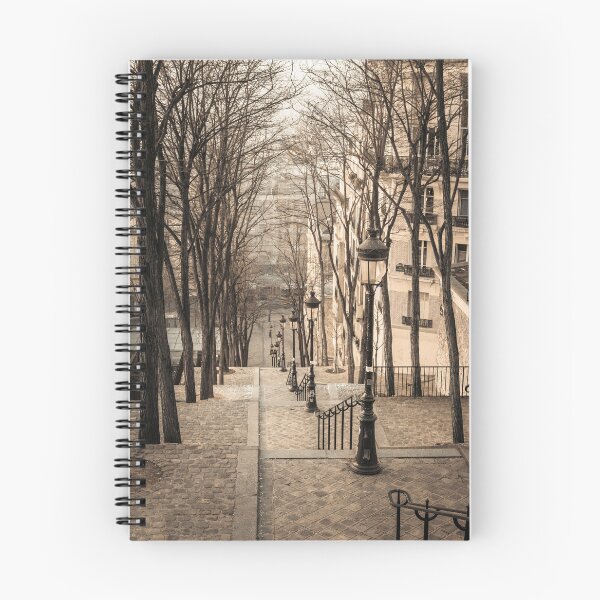Item preview, Montmartre stairs designed and sold by assaf.