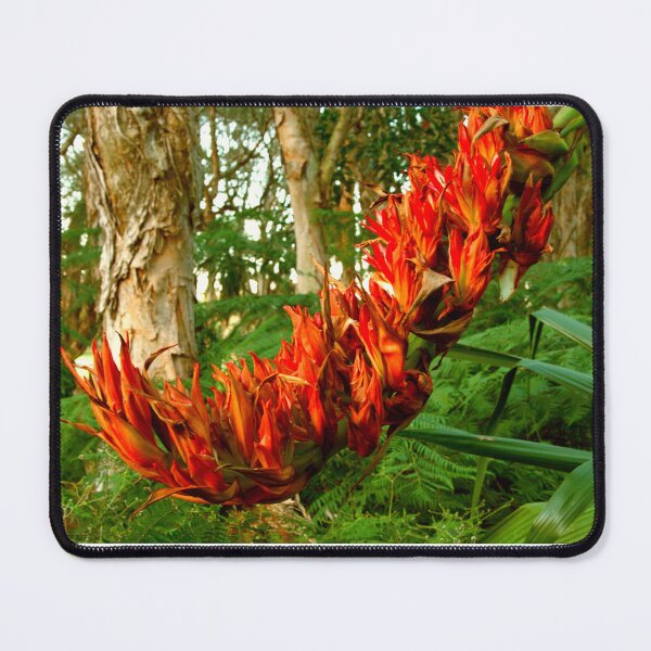 Item preview, Gymea Spear Lily designed and sold by Michael Matthews.