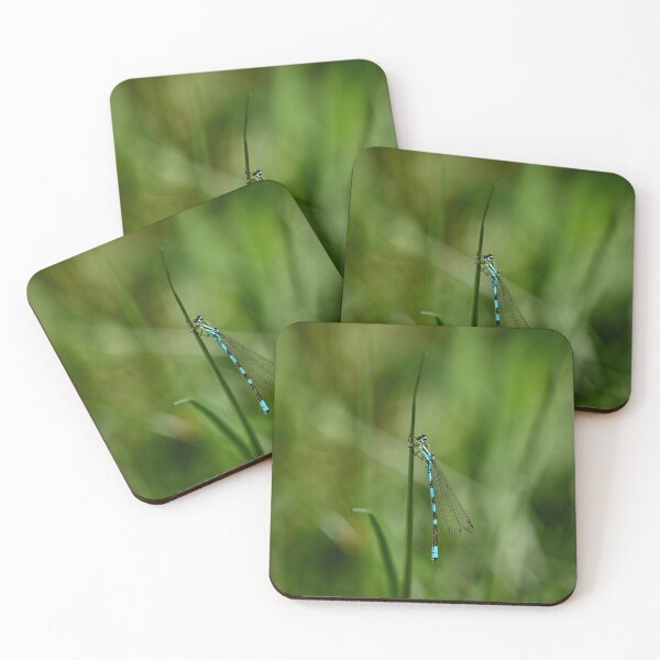 Item preview, The hug. Northern damselfly designed and sold by Jouko Lehto Photography.