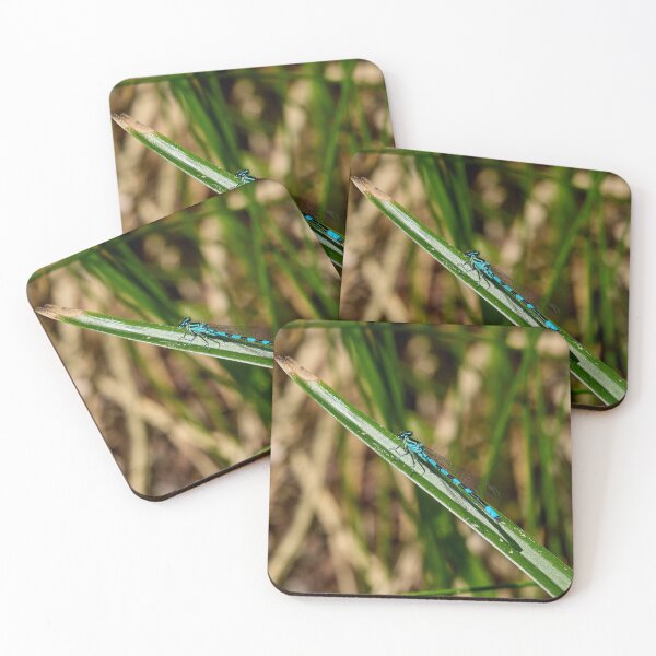 Item preview, Lined. Northern damselfly designed and sold by Jouko Lehto Photography.