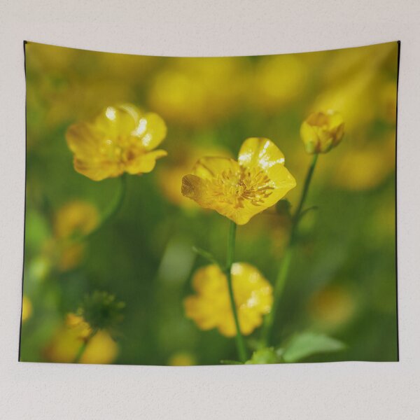 Item preview, Meadow buttercup shallow dof designed and sold by Jouko Lehto Photography.