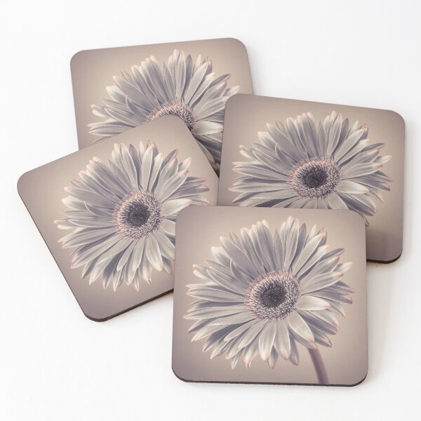 Item preview, Gerbera Cream designed and sold by assaf.