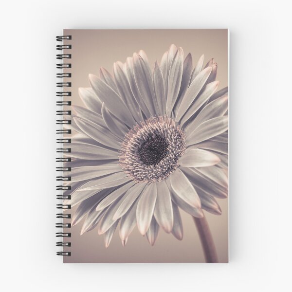 Item preview, Gerbera Cream designed and sold by assaf.