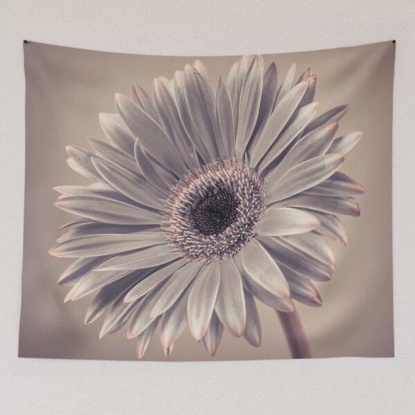 Item preview, Gerbera Cream designed and sold by assaf.