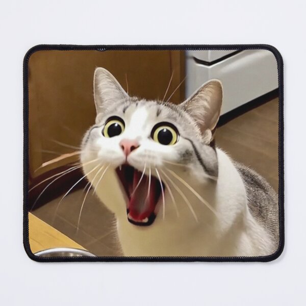 Item preview, Cat Screaming Meme - When You Realize You Forgot to Feed the Cat designed and sold by CatmemesArt.