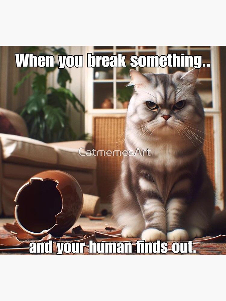 Cat Funny Stuff Clean What Is The Flehmen Response In Cats? PetMD