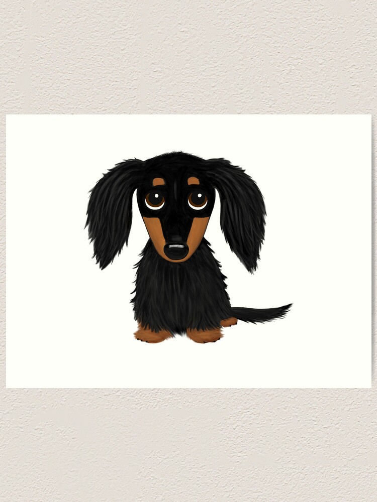 Black And Tan Long Haired Dachshund