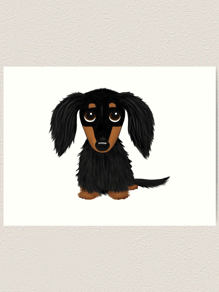 Black and tan long hotsell haired dog