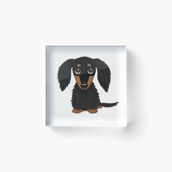 Long Haired Dachshund Gifts & Merchandise For Sale | Redbubble