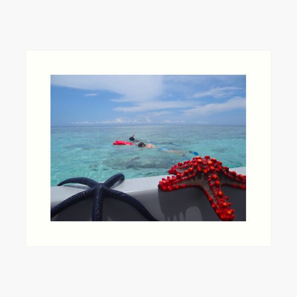Snorkelling And Starfish Off Zanzibar Island for Children - Tanzania, Africa Art Print