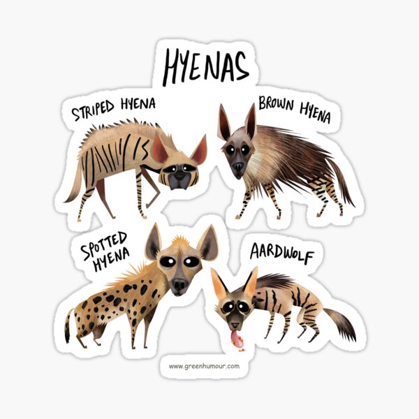 Know Your Hyenas Sticker