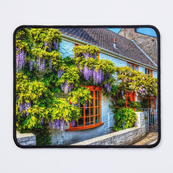 Item preview, Wisteria House, Upwey, Dorset, England designed and sold by Paul Thompson Photography.