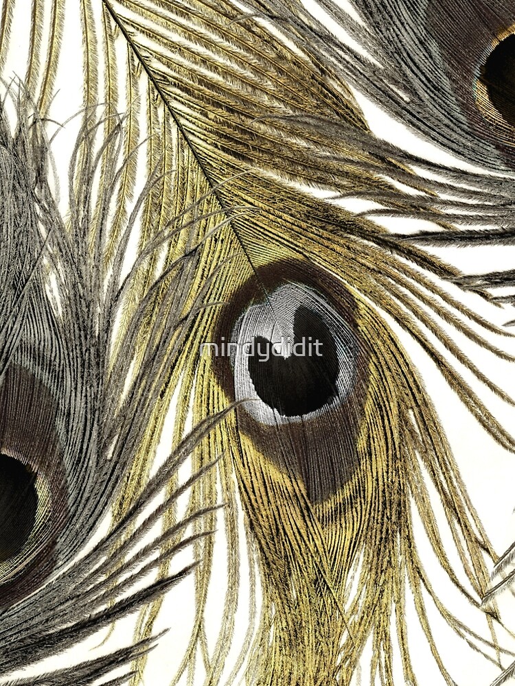 Gold and Silver Peacock Feathers
