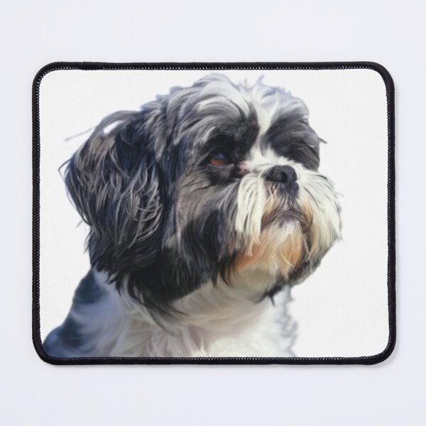 Item preview, Dog designed and sold by Wininter1729.