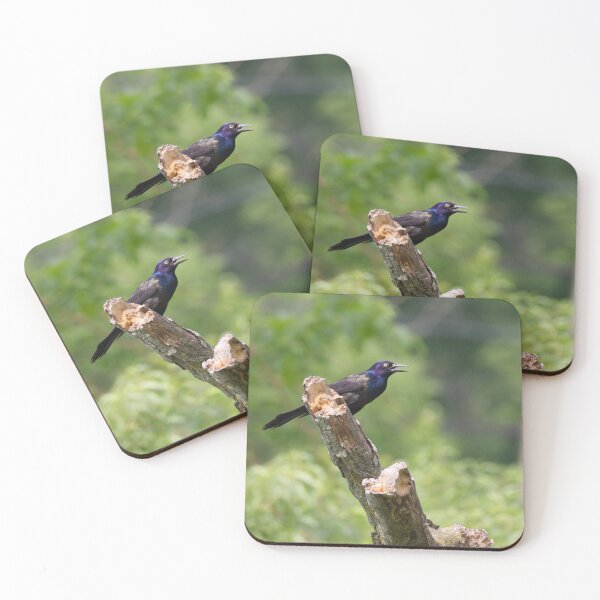 Item preview, Common Grackle designed and sold by ArymeiCreations.