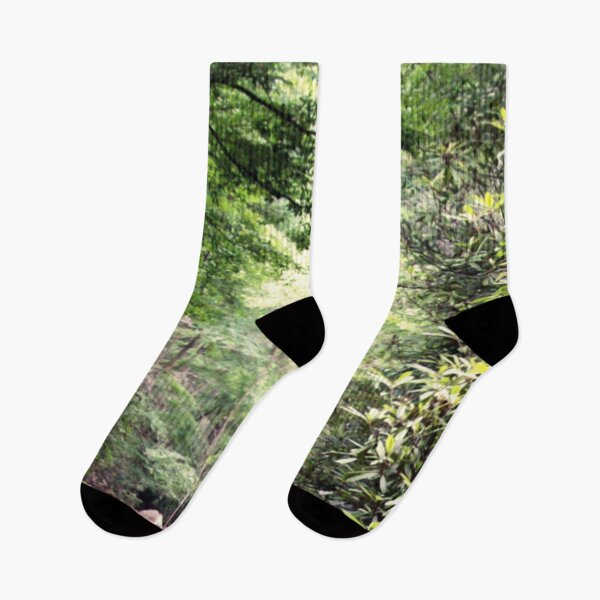 Item preview, On the River in Paradise South Mountain State Park  designed and sold by Electric Mystic Art Merch.