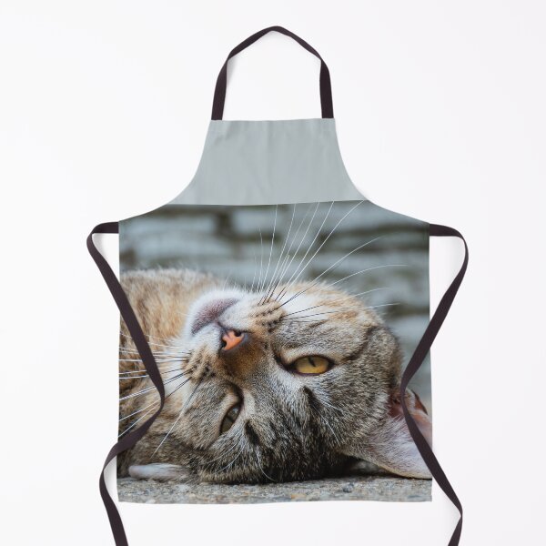 Item preview, Cute Tabby Cat designed and sold by GraffiTimi.