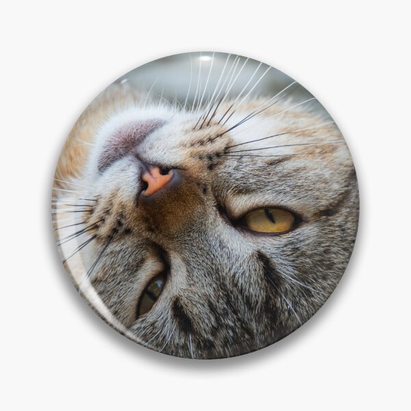 Item preview, Cute Tabby Cat designed and sold by GraffiTimi.