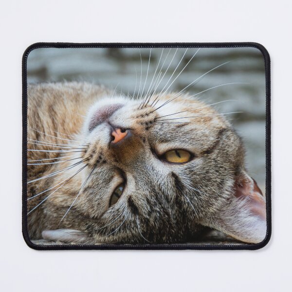 Item preview, Cute Tabby Cat designed and sold by GraffiTimi.