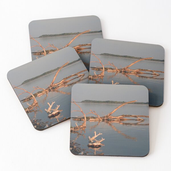 Item preview, Driftwood at sunset designed and sold by zumi.