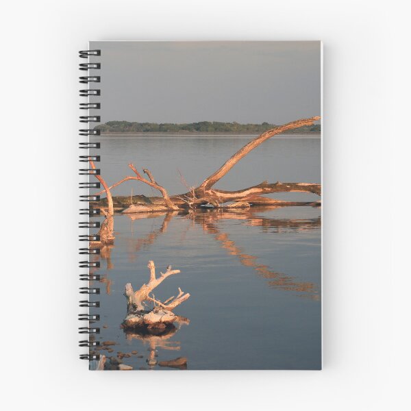 Item preview, Driftwood at sunset designed and sold by zumi.