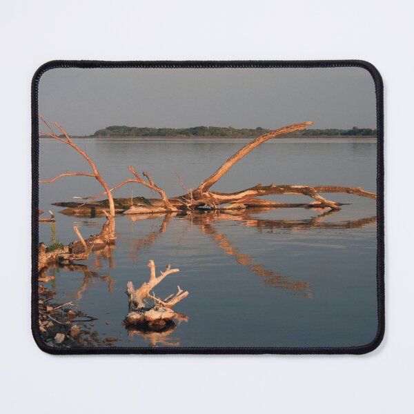 Item preview, Driftwood at sunset designed and sold by zumi.