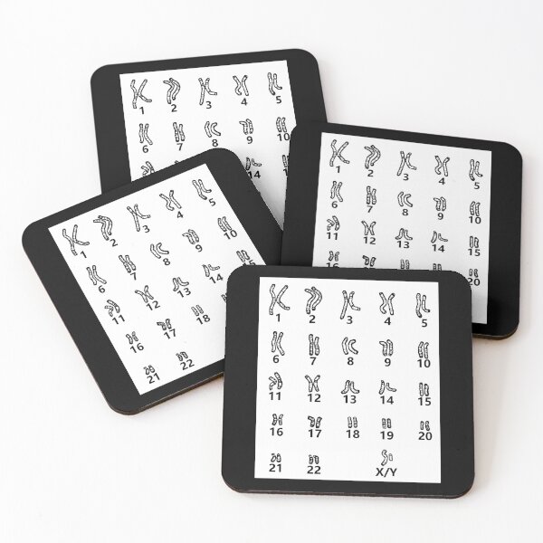 Item preview, Human Chromosomes, Karyotype, Cell Biology, Idiogram, Genetics designed and sold by Decamegashop.