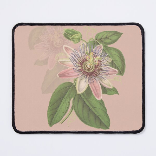 Item preview, Passiflora flower vitnage style passionfruit designed and sold by interico88.