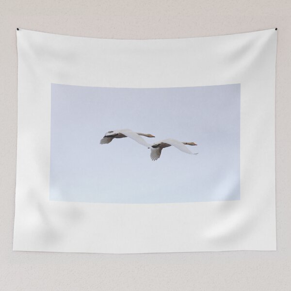Item preview, Flying designed and sold by zumi.