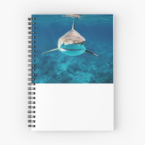 Item preview, Shark Photography Art designed and sold by nomiraclehere.