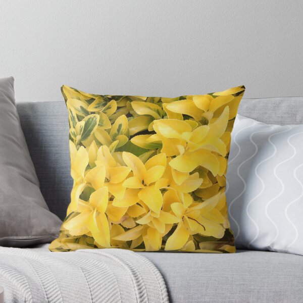 Item preview, “Yellow's Delight”, Photo Artwork designed and sold by KJACDesigns.