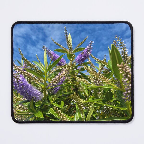 Item preview, Blue Hebe under a Blue Sky designed and sold by Violaman.