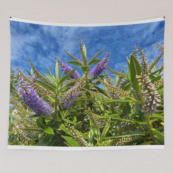 Item preview, Blue Hebe under a Blue Sky designed and sold by Violaman.
