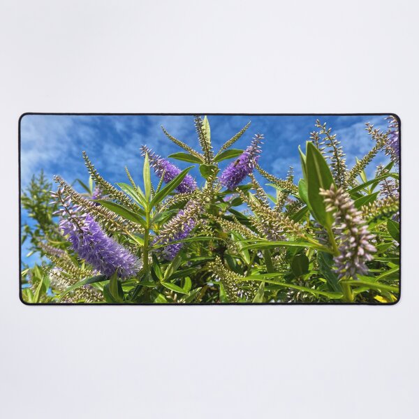 Item preview, Blue Hebe under a Blue Sky designed and sold by Violaman.