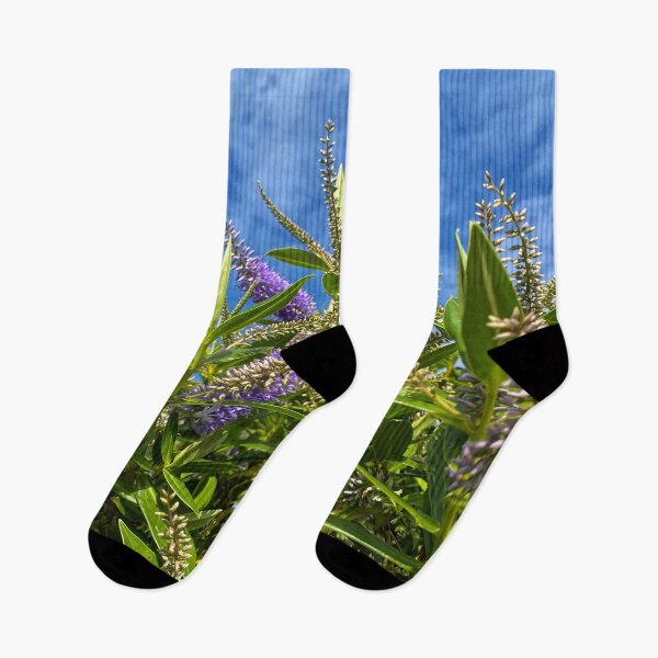 Item preview, Blue Hebe under a Blue Sky designed and sold by Violaman.