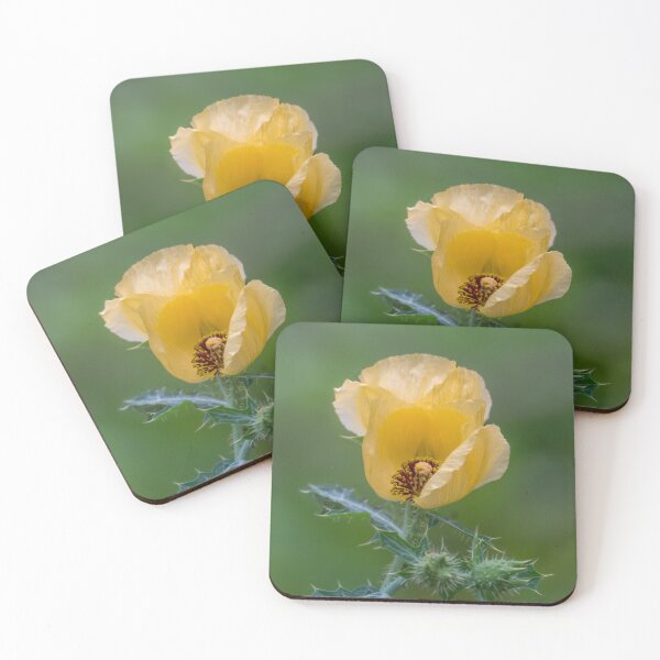 Item preview, Yellow Prickly Poppy designed and sold by Debra Martz.