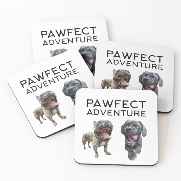 Item preview, Pawfect Adventure Dream team, Mr. Booch & Heela designed and sold by MrBooch.