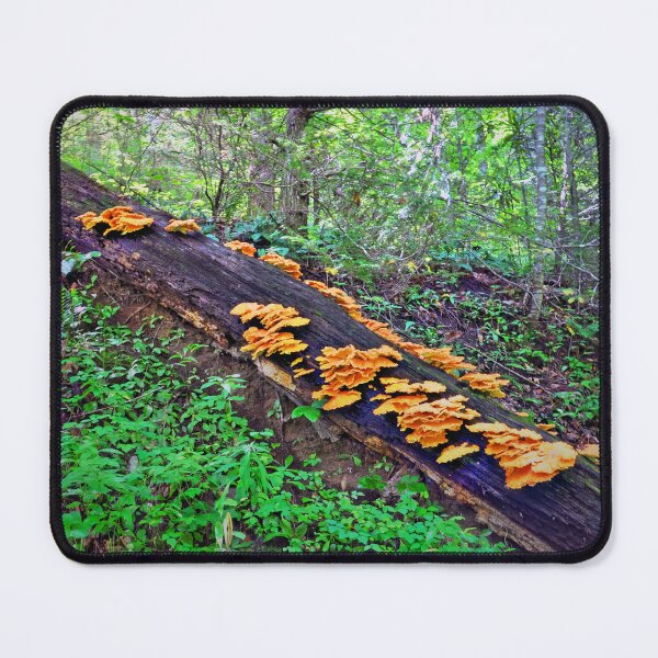 Item preview, Fungi designed and sold by Savannah Gibbs.